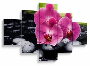 Obraz - Růžové orchideje s palmovým listem (125x70 cm)