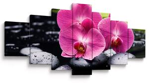 Obraz - Růžové orchideje s palmovým listem (210x100 cm)