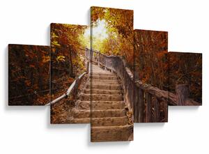 Obraz - Schody v přírodě na podzim (125x70 cm)