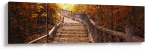 Obraz - Schody v přírodě na podzim (170x50 cm)