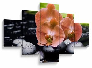 Obraz - Oranžová orchidej s palmovými listy (125x70 cm)
