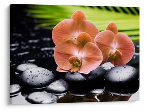 Obraz - Oranžová orchidej s palmovými listy (70x50 cm)