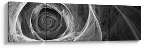 Obraz - Abstraktní růže černobílá (170x50 cm)