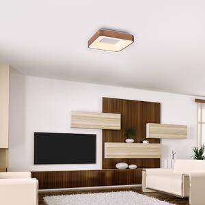 RABALUX LED stropní přisazené světlo CARMELLA, 30W, denní bílá, 40x40cm, hranaté 005056