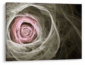 Obraz - Abstraktní růže světle růžová (70x50 cm)