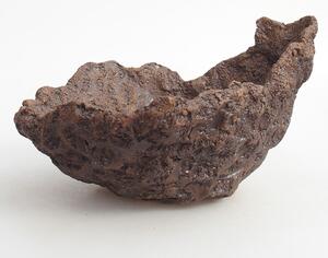 E-bonsai Keramická Skořápka 19 x 16 x 14 cm hnědá