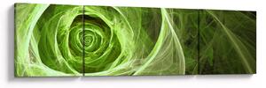 Obraz - Abstraktní růže zelená (170x50 cm)