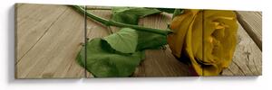 Obraz - Žlutá růže vintage (170x50 cm)