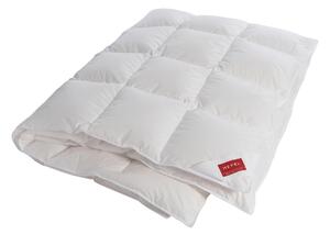 PÉŘOVÁ PŘIKRÝVKA, 140/200 cm, prachové peří Hefel Textil - Přikrývky