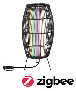 P 94754 Plug & Shine LED světelný objekt Smart Home Zigbee Basket IP44 RGBW 3,2W černá - PAULMANN