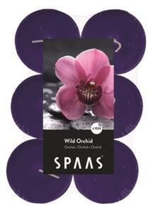 SPAAS čajové vonné orchidej MAXI 12ks