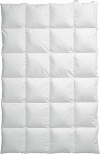 PÉŘOVÁ PŘIKRÝVKA, 135/200 cm, peří, prachové peří Centa-Star - Přikrývky, Online Only