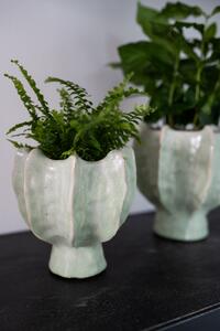 Ter Steege Obal Isabella mint D14 H14