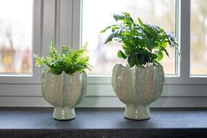 Ter Steege Obal Isabella mint D16 H17