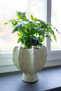 Ter Steege Obal Isabella mint D18 H20