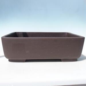 E-bonsai Miska 49 x 35 x 16,5 cm barva hnědá - POUZE OSOBNÍ ODBĚR nebo paletová přeprava