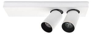LED Stropní bodové svítidlo BERGEN 2xLED/11W/230V
