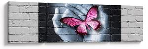 Obraz - Růžový motýl ve zdi (170x50 cm)