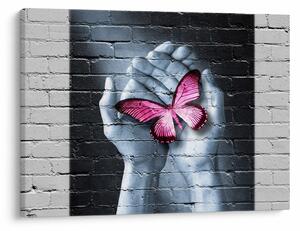 Obraz - Růžový motýl ve zdi (70x50 cm)