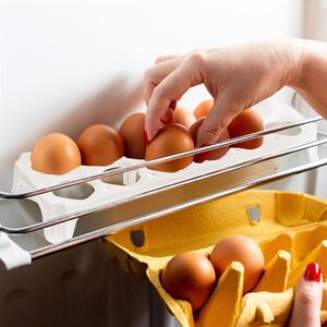 Orion Úložná box na vajíčka/vejce, organizér na 12ks vajec, FRESH, 3,5l