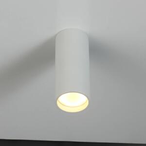 LED stropní bodové světlo Stag, CCT a RGBW, bílá