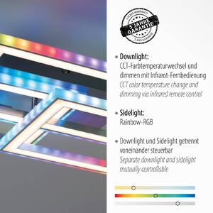 LED stropní svítidlo Felix60, 54x33,5cm