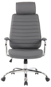 Kancelářská židle Kendal - pravá kůže | šedá