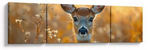 Obraz - Laň (170x50 cm)
