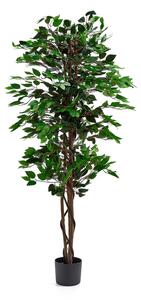 AJ Produkty Umělá rostlina EVERGREEN, fíkus benjamin, umělý, 1600 mm, 1 ks
