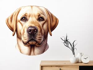 Pes Zlatý Retrívr arch 45 x 42 cm