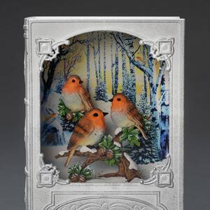 LED stolní dekorace vodní lucerna kniha s ptáky