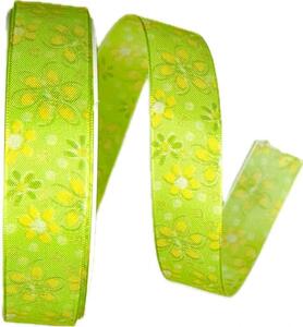 Stuha taftová SPRING MEADOW zelená 25mm x 20m A (8,-Kč/m)