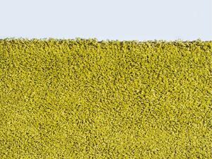 Kusový koberec Efor Shaggy 1903 Green | zelená Typ: 60x115 cm