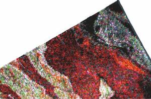 Kusový koberec Rust 21304-910 Red | červená, vícebarevná Typ: 120x170 cm