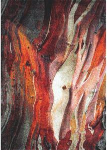 Kusový koberec Rust 21304-910 Red | červená, vícebarevná Typ: 200x290 cm
