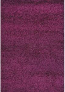 Kusový koberec Shaggy Plus 957 Purple | fialová Typ: 80x150 cm