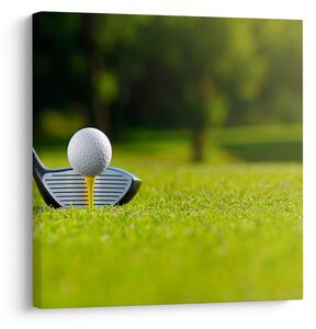 Obraz - Golf (30x30 cm)