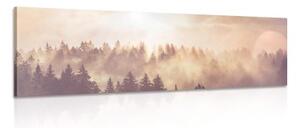 Obraz mlha nad lesem - 120x40 cm