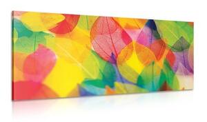 Obraz listy v podzimních barvách - 100x50 cm