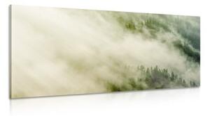 Obraz mlhavý les - 100x50 cm
