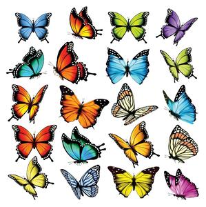 Samolepící dekorace Butterflies, 30 x 30 cm