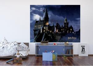 Dětská fototapeta Harry Potter 252 x 182 cm, 4 díly