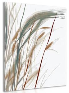 Obraz minimalistická stébla trávy - 80x120