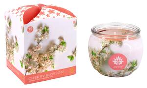 Arôme Vonná svíčka CHERRY BLOSSOM 90g