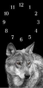 Nástěnné hodiny vlk 30x60cm V - plexi