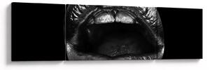 Obraz - Lesklé rty (170x50 cm)
