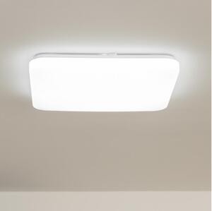 Brilagi - LED Stropní svítidlo OPAL LED/24W/230V