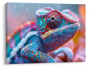 Obraz - Zbarvený chameleon (70x50 cm)