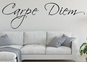 Samolepka na zeď - Carpe Diem Barva: Bílá, Rozměry samolepky ( šířka x výška ): 90 x 28 cm