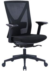 Kancelářská ergonomická židle Office Pro NYON BP